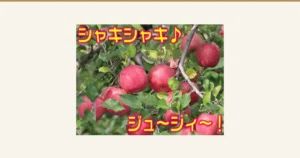 Product page image for 大中 High-Sugar-Content Sun Fuji Apples, Home-Use, 5kg: a photo of red apples on a branch among green leaves. Text the shop placed in the image, in yellow letters: 「シャキシャキ♪」 (crisp) and 「ジュ〜シィ〜！」 (juicy)