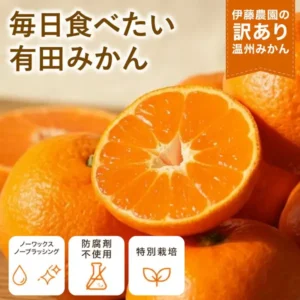 断面を見せた有田みかんの写真。奥に房のままのみかんが並び、右上に赤いリボンで店舗が画像に入れた「伊藤農園の訳あり温州みかん」の文字、左上に大きく店舗が画像に入れた「毎日食べたい」「有田みかん」の文字、下部に店舗が画像に入れた「ノーワックス」「ノーブラッシング」「防腐剤不使用」「特別栽培」のアイコン付き表示。