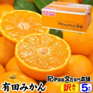 有田みかんを半分に切った断面2個と皮付きのみかん数個を重ね、背景に「紀伊国屋文左衛門本舗」のロゴが入った商品化粧箱を置いた商品画像。画像内に店舗が画像に入れた表示として「有田みかん」「紀伊国屋文左衛門本舗」「訳あり」「5キロ」の文字あり