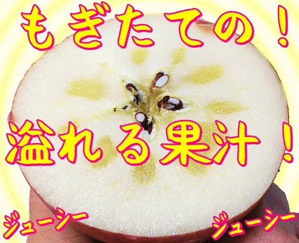 Product page image for 大中 High-Sugar-Content Sun Fuji Apples, Home-Use, 5kg: a photo of an apple cut in half and held in a hand, showing the cut face: seeds at the center, whitish flesh, and yellowish areas around the core. Text the shop placed in the image, in yellow letters: 「もぎたての！」 (just picked!), 「溢れる果汁！」 (overflowing juice!), and 「ジューシー」 (juicy) twice