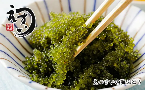 Photo of Etsusui umibudo (sea grapes) heaped in a white bowl with blue and brown radial lines, with some lifted by wooden chopsticks. In the top left is the shop logo (brush lettering “えつすい” and a red square seal with the four characters “越” “若” “水” “産”), and in the bottom right is text the shop placed in the image: “えつすいの海ぶどう”