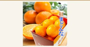 Featured image for Benimadonna 1.3kg Seishuhin: a product photo of mandarins in a cardboard box, more mandarins behind it and one cut in half in front (the cut half is a serving example). Large text “紅まどんな” on the right, the store logo “Fruits Gift Box” at the upper right, and “愛媛県産” (Ehime-grown) printed on the box