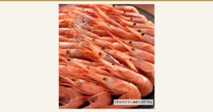 Featured image. Product photo of Masuyone Echizen Amaebi without roe 500g (small size, wakeari): reddish shell-on sweet shrimp (amaebi) with heads and long antennae, piled tightly across a black bowl. Text the shop placed in the image: “訳ありでお得な［越前甘えび］をたっぷりとお届け。” (a generous helping of the good-value wakeari [Echizen amaebi]) and “［訳あり］子なし越前甘えび 500g” ([wakeari] Echizen amaebi without roe, 500g)