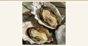 殻を開けた殻付き牡蠣2つの中身が見える写真（松島牡蠣屋 生食用 殻付き牡蠣 2kg）