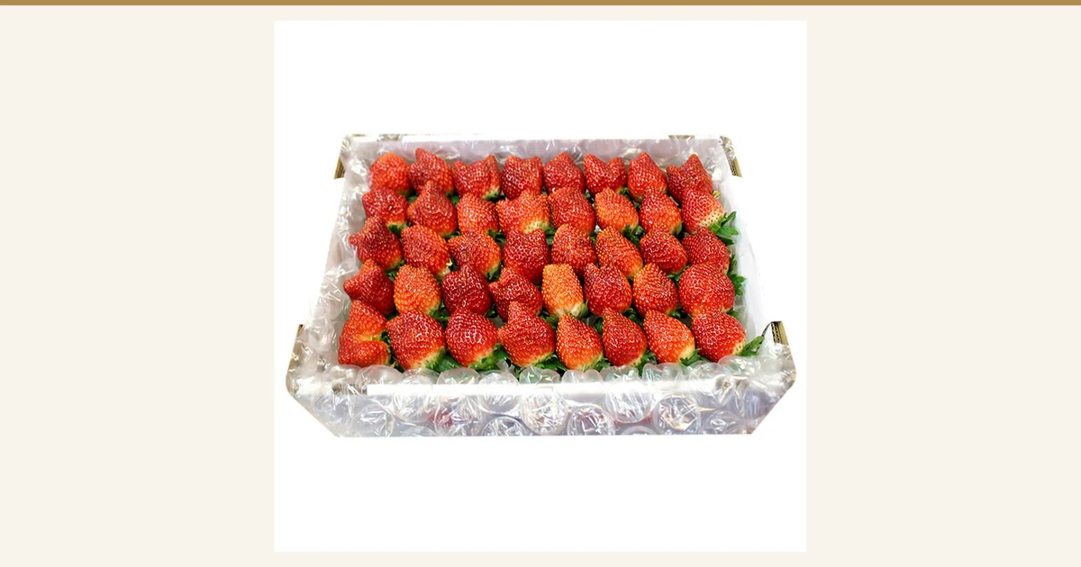 Photo of strawberries packed in rows in a box lined with plastic cushioning (もんみや Tochigi Prefecture Tochiaika Strawberries, Packed Full, 1.2kg)
