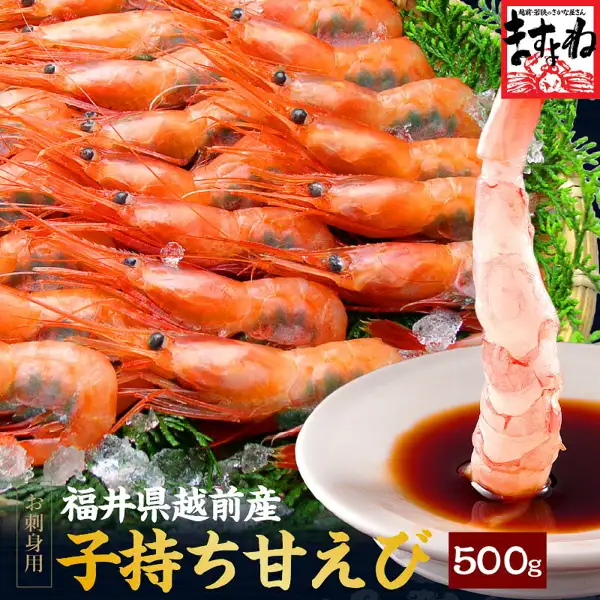 ますよね 子持ち越前甘えび 500gの商品写真。氷とともに並んだ赤い甘えびと、醤油の小皿に先端を浸した殻むきの甘えび1尾が写っている。画像内に店舗が画像に入れた表示として、「ますよね」のロゴ、「お刺身用」「福井県越前産」「子持ち甘えび」「500g」の文字あり。