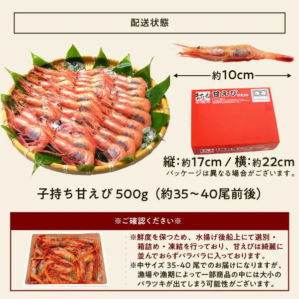 ますよね 子持ち越前甘えび 500gの配送状態を説明する店舗掲載画像。竹ざるに笹の葉と氷とともに盛った赤い子持ち甘えび、殻つき甘えび1尾、赤い冷凍の箱、白い容器に入った甘えびが写っている。画像内に店舗が画像に入れた表示として、「配送状態」「約10cm」「縦:約17cm / 横:約22cm」「パッケージは異なる場合がございます。」「子持ち甘えび 500g（約35〜40尾前後）」「※ご確認ください※」「※鮮度を保つため、水揚げ後船上にて選別・箱詰め・凍結を行っており、甘えびは綺麗に並んでおらずバラバラに入っております。」「※中サイズ 35-40 尾でのお届けになりますが、漁場や漁期によって一部商品の中には大小のバラツキが出てしまう可能性がございます。」の文字あり。