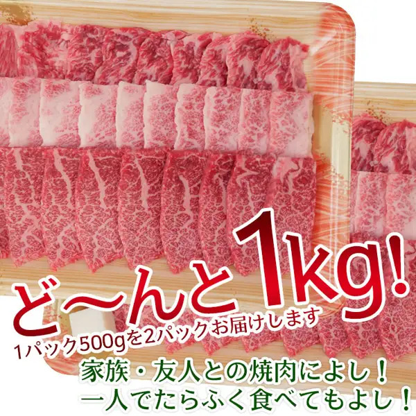 Product photo of Hida Gyu Karubi Yakiniku Mega Portion 1kg showing two stacked trays of beef for yakiniku. Text the shop placed in the image: 「ど〜んと1kg!」 (a hefty 1kg!), 「1パック500gを2パックお届けします」 (we deliver 2 packs of 500g each), 「家族・友人との焼肉によし!」 (great for yakiniku with family and friends), and 「一人でたらふく食べてもよし!」 (or eat your fill alone).