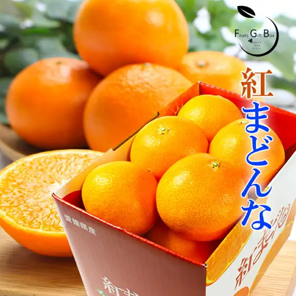 紅まどんな 1.3kg 青秀品的商品照片。纸箱中装着柑橘，后方还摆着几个柑橘，前方有一个对半切开的橘子（切开的横截面仅为摆盘示例）。右侧有大号文字“紅まどんな”，右上角为店铺标志“Fruits Gift Box”，纸箱上印有“愛媛県産”（爱媛县产）字样