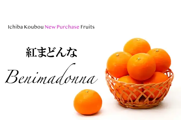 紅まどんな 1.3kg 青秀品的商品照片。白色背景上，竹篮中堆放着柑橘，前方另放有一个柑橘（竹篮仅为摆盘示例）。左侧有店铺放入图片的文字：“Ichiba Koubou New Purchase Fruits”“紅まどんな”“Benimadonna”