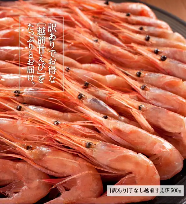ますよね 子なし越前甘えび（不带籽甜虾） 500g（小号・訳あり）的商品照片：黑色容器上，带头和长触须的红色带壳甜虾密密麻麻地堆叠在一起。店铺在图片中加入的标示：「訳ありでお得な［越前甘えび］をたっぷりとお届け。」（量足实惠的訳あり［越前甜虾］）「［訳あり］子なし越前甘えび 500g」（［訳あり］不带籽越前甜虾 500g）