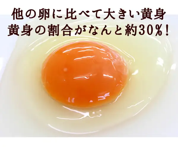 緑の一番星 生卵30個入（田子たまご村）の写真。割った卵の黄身が丸く盛り上がった様子。店舗が画像に入れた表示「他の卵に比べて大きい黄身」「黄身の割合がなんと約30％！」