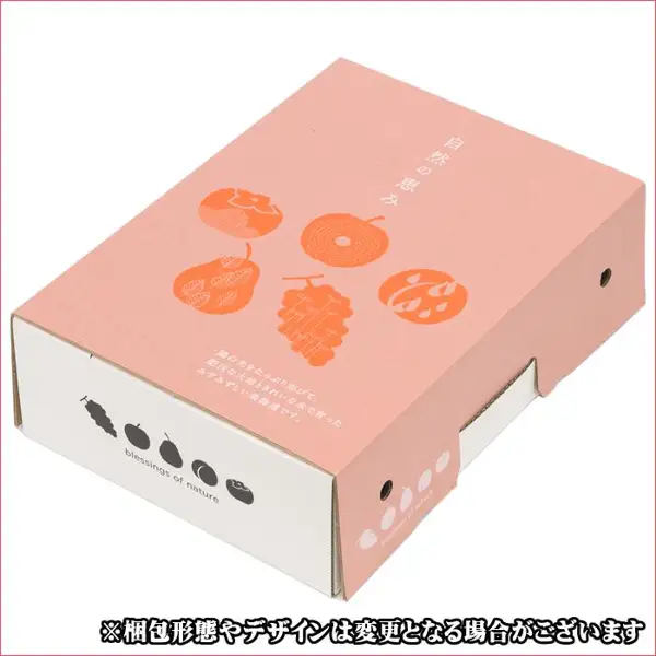 Photo of the outside of a box printed with a “自然の恵み” (nature's blessings) design (Winter Fruit Assortment 3kg from 竹城青果). The seller's note “梱包形態やデザインは変更となる場合がございます” (packaging and design may change) appears at the bottom of the image