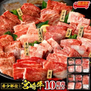 ふるさと納税の返礼品「宮崎牛焼肉10種盛り合わせ」の商品ページ画像。黒い皿に焼肉用の牛肉が部位ごとに札を立てて盛られ、右下に黒いトレーに入った2段のパック肉が写る。店舗が画像に入れた表示「最速便」「希少部位入り」「宮崎牛」「10」「焼肉種盛り」、札の「ヒレ」「イチボ」「三角バラ」「ウデ」「ロース」「肩ロース」「モモ」（右端にも一部が見切れた札がある）