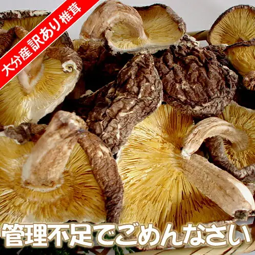 大分産 原木 訳あり しいたけ 160g 乾しいたけの商品画像。かさの裏の淡い黄色のひだが見えるものや、こげ茶色でしわの寄ったかさの表が見えるものなど、形のそろわない干し椎茸をかごに盛り、大きく写した写真。割れたかさや軸の付いたものも混ざっている。店舗が画像に入れた表示「大分産訳あり椎茸」(左上の赤い帯)、「管理不足でごめんなさい」(下部)