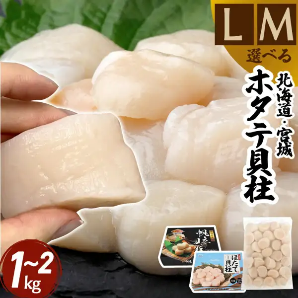 手指捏着大颗扇贝柱的照片上，叠放了两种礼盒和袋装冷冻扇贝柱的商品照片（VIVIDLIFE ほたて貝柱（扇贝柱） 超大粒/大粒 1kg）。店铺在图片中加入的标示：“L”“M”“選べる”（可选择）“北海道・宮城”“ホタテ貝柱”（扇贝柱）“1~2kg”