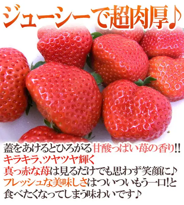 くらし快援隊 Fukuoka Amaou Strawberries, Grade G：Close-up product photo of several red strawberries with their calyxes, not shown packed in the container. Text the store added to the image: “ジューシーで超肉厚♪” (juicy and extra thick), “蓋をあけるとひろがる甘酸っぱい苺の香り!!” (the sweet-tart strawberry scent spreads when you open the lid), “キラキラ、ツヤツヤ輝く” (sparkling, glossy), “真っ赤な苺は見るだけでも思わず笑顔に♪” (just looking at the bright red berries makes you smile), “フレッシュな美味しさはついついもう一口!と食べたくなってしまう味わいです♪” (a fresh taste that makes you want one more bite)