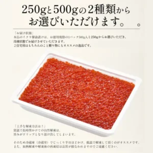 装在白色托盘中的港ダイニングしおそう 鱒いくら醤油漬け（鳟鱼子酱油渍）商品照片。店铺放入图片的文字：「250gと500gの2種類からお選びいただけます。」（可在250g和500g两种规格中选择。）「お届け状態」（送达状态）本品为大份量规格的1盒500g装，也可选250g，以冷冻状态送达，推荐自家食用，也适合作为礼物。「上手な解凍方法は？」（怎样解冻更好？）常温下长时间自然解冻，鲜味会变成汁水流失；因此推荐放在冷藏室低温慢慢解冻约半天。另外，加热解冻或解冻后再次冷冻会损害品质，请勿这样做。