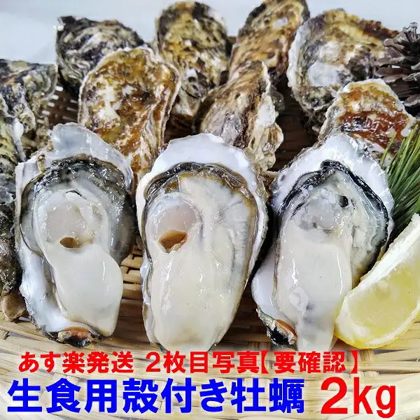 Product photo of shell-on oysters arranged on a bamboo tray, with the front shells opened to show the oysters, a lemon wedge and pine needles. Text the shop placed in the image reads: “あす楽発送 2枚目写真【要確認】” and “生食用殻付き牡蠣 2kg” (松島牡蠣屋 Shell-On Oysters 2kg, labeled 生食用 for raw consumption)