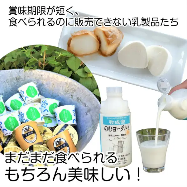 牧成舎 訳あり乳製品福袋の商品写真。皿にのせたチーズ、金属のたらいに入ったカップ入りヨーグルト、牧成舎「のむヨーグルト」のボトル、ボトルからグラスに注がれる牛乳が写っています。店舗が画像に入れた表示として「賞味期限が短く、食べられるのに販売できない乳製品たち」「まだまだ食べられる もちろん美味しい！」の文字