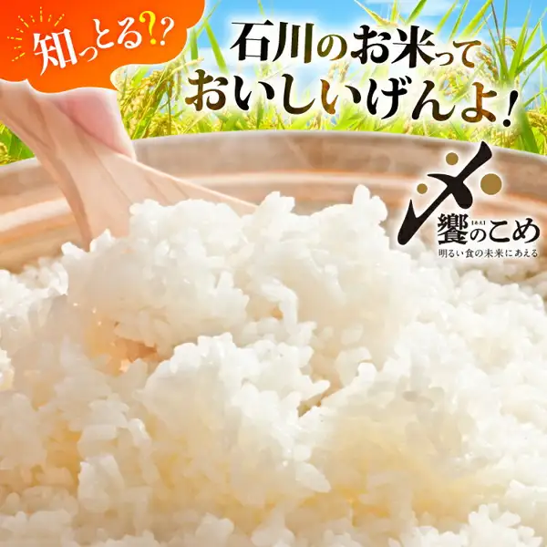 用木饭勺舀起的刚煮好的白米饭特写照片。能登米・石川米 コシヒカリ（宝達志水町故乡纳税・中橋商事）。店铺在图片中加入的文字有：「知っとる??」（你知道吗??）「石川のお米っておいしいげんよ！」（石川的大米很好吃哦！）「饗のこめ」（飨宴之米）「明るい食の未来にあえる」（邂逅光明的饮食未来）。