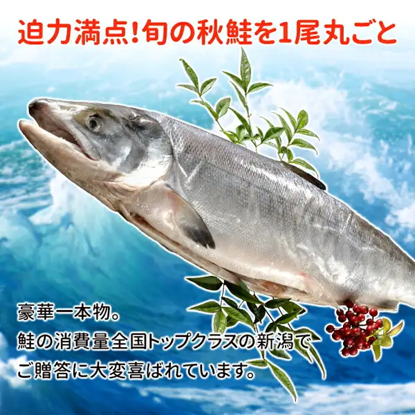 青い波の海を背景に、新巻鮭を1尾丸ごと斜めに置いた写真。緑の葉と赤い実が添えられている。店舗が画像に入れた表示「迫力満点!旬の秋鮭を1尾丸ごと」「豪華一本物。」「鮭の消費量全国トップクラスの新潟でご贈答に大変喜ばれています。」(サーモン専門店岩松 北海道産 新巻鮭一本物 約3.0kg)