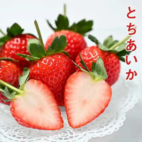 Photo of whole strawberries and two strawberries cut in half lengthwise on white lace paper (もんみや Tochigi Prefecture Tochiaika Strawberries, Packed Full, 1.2kg). Text the store added to the image: “とちあいか” written vertically.