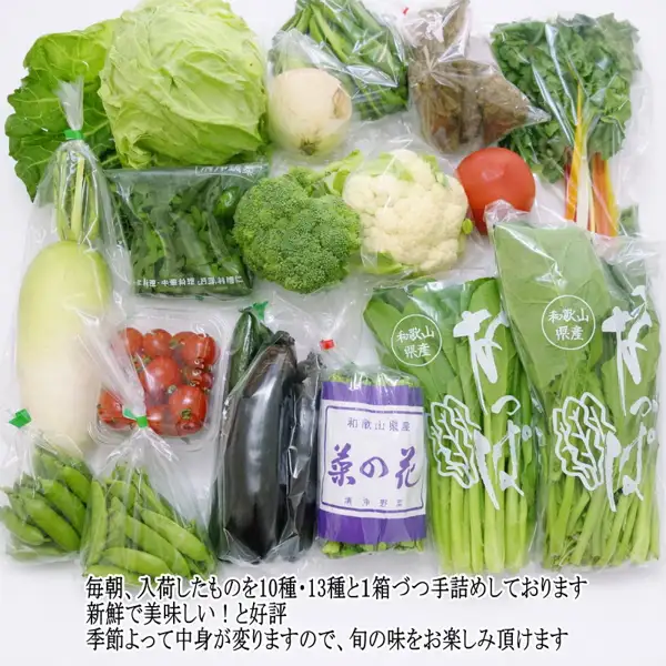 野菜詰め合わせセット 10種・13種以上の中身の例の写真。キャベツ、ブロッコリー、カリフラワー、トマト、ミニトマトのパック、大根、ナス2本、さやつきの豆、虹色の茎の葉物、菜の花の束、袋入りの葉物野菜2袋などの野菜が、袋に入れて並べられている。店舗が画像に入れた表示「和歌山県産」（袋の印字）、「菜の花」（束の帯）、「毎朝、入荷したものを10種・13種と1箱づつ手詰めしております」「新鮮で美味しい！と好評」「季節よって中身が変わりますので、旬の味をお楽しみ頂けます」