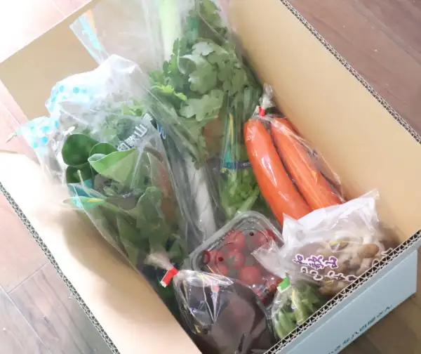 野菜詰め合わせセット 10種・13種以上が届いたときの箱の様子の写真。開けた段ボール箱の中に、にんじん2本、ミニトマトのパック、きのこの袋、葉物野菜などが、ビニール袋に入った状態で詰められている。きのこの袋には紫色の文字の印字があり、一部のみ判読でき「和歌山」とある